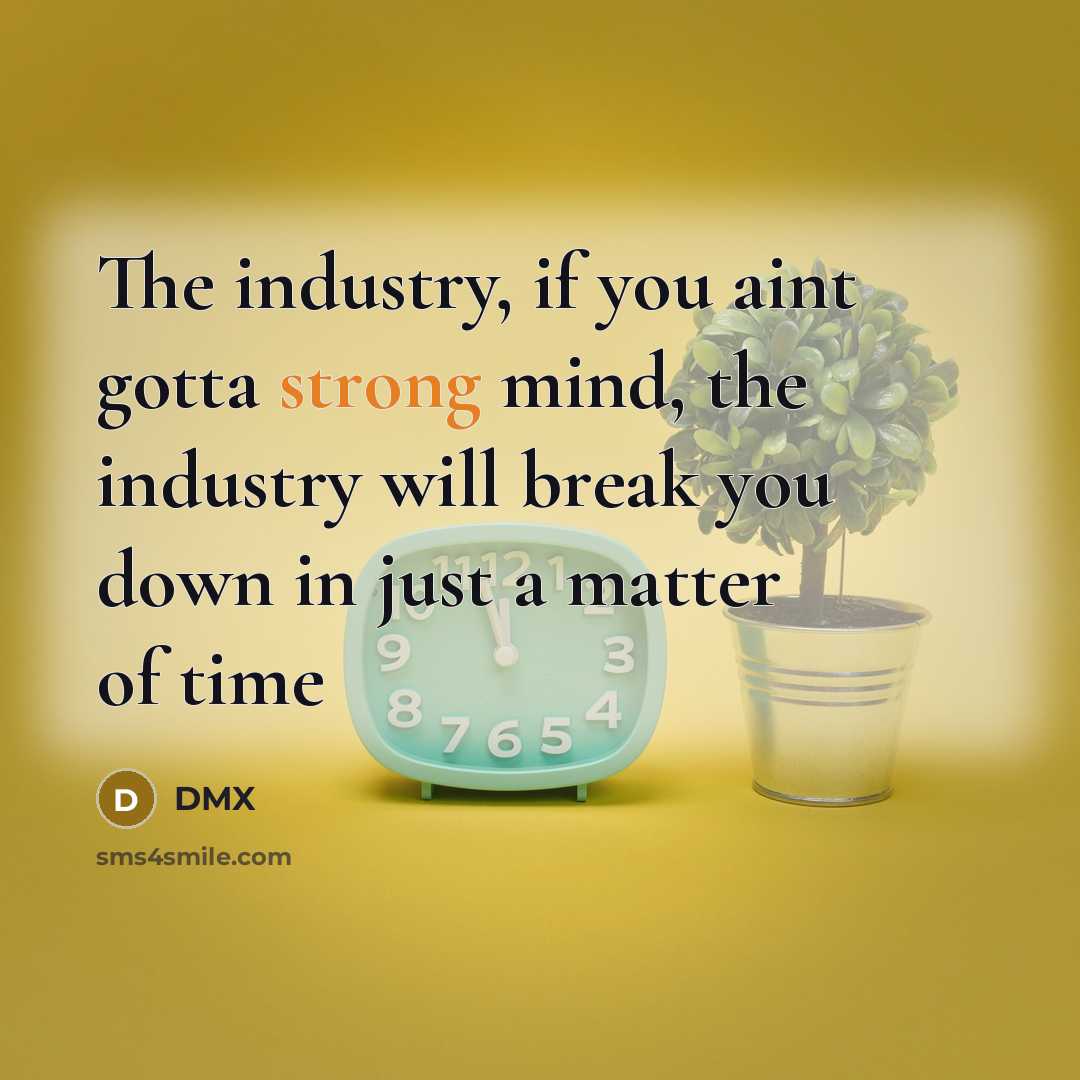 “The industry, if you aint gotta strong mind, the industry…” quote by Dmx