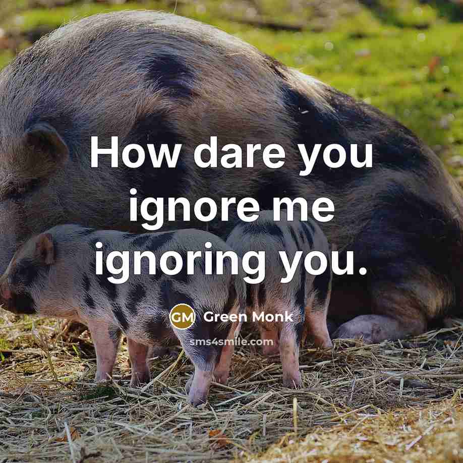 “How dare you ignore me ignoring you.…” quote by Green Monk