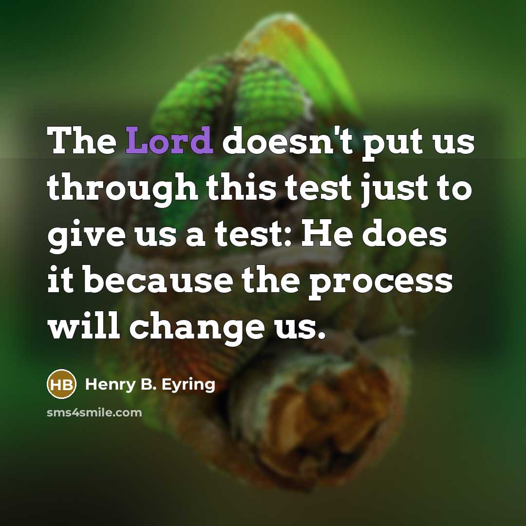 “The Lord doesn't put us through this test just to give us a test: He does it because the process will change us.” quote by Henry B. Eyring