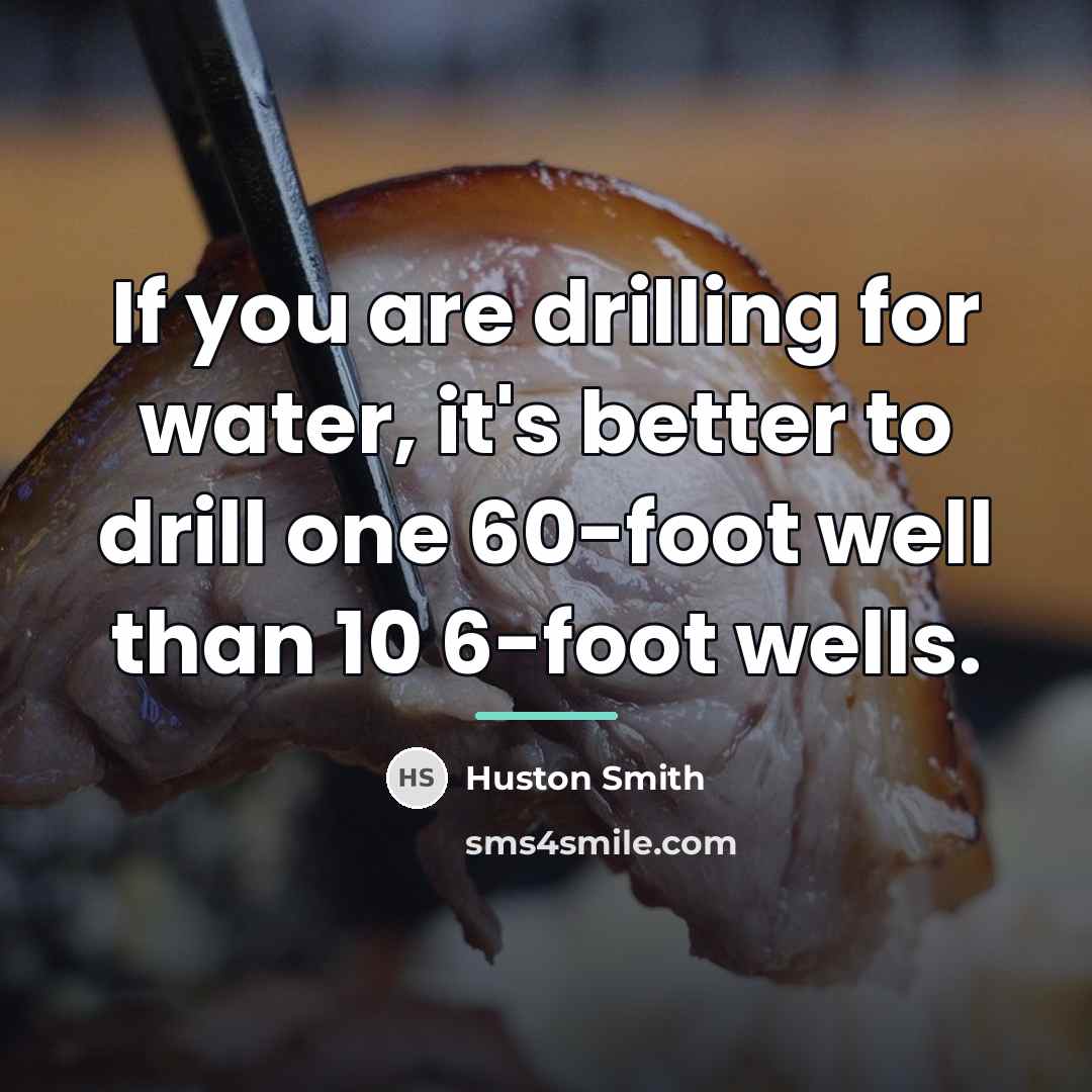 “If you are drilling for water, it's better to drill…” quote by Huston Smith