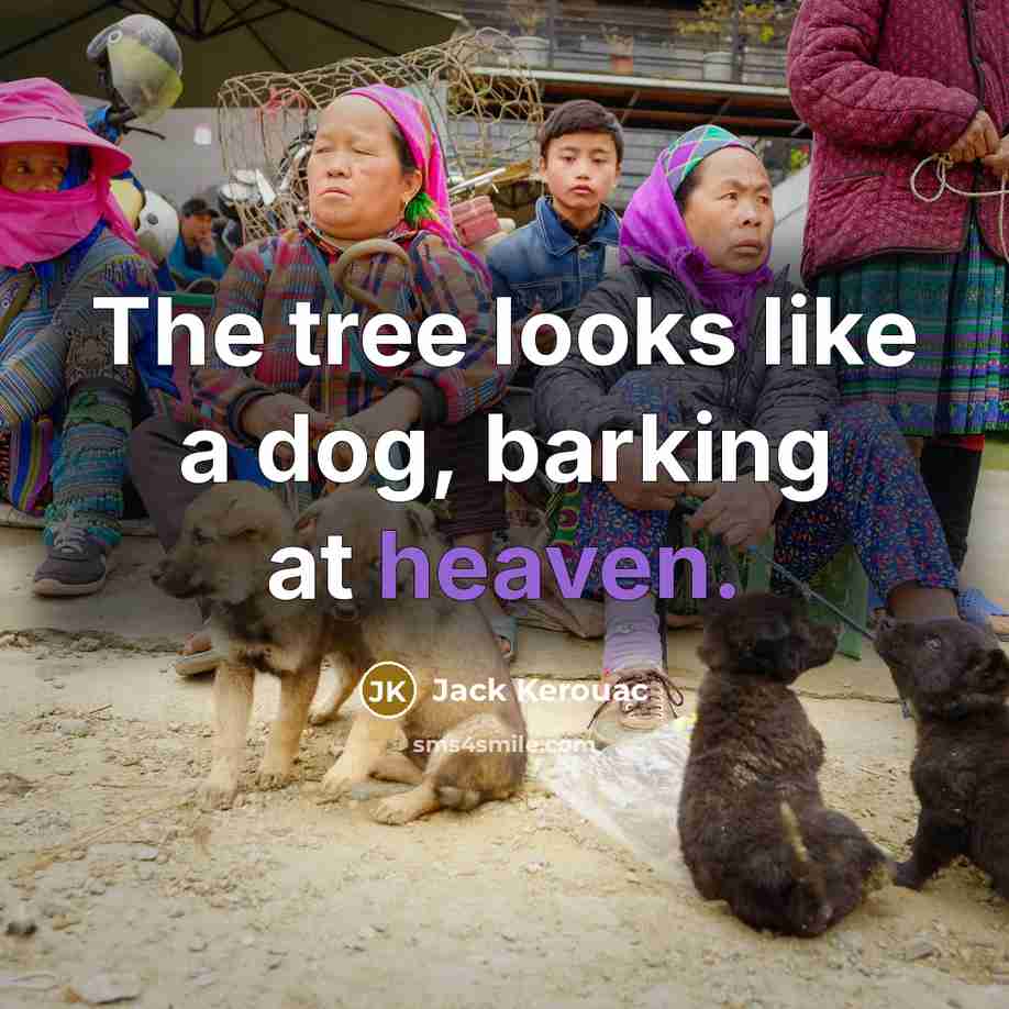 “The tree looks like a dog, barking at heaven.” quote by Jack Kerouac