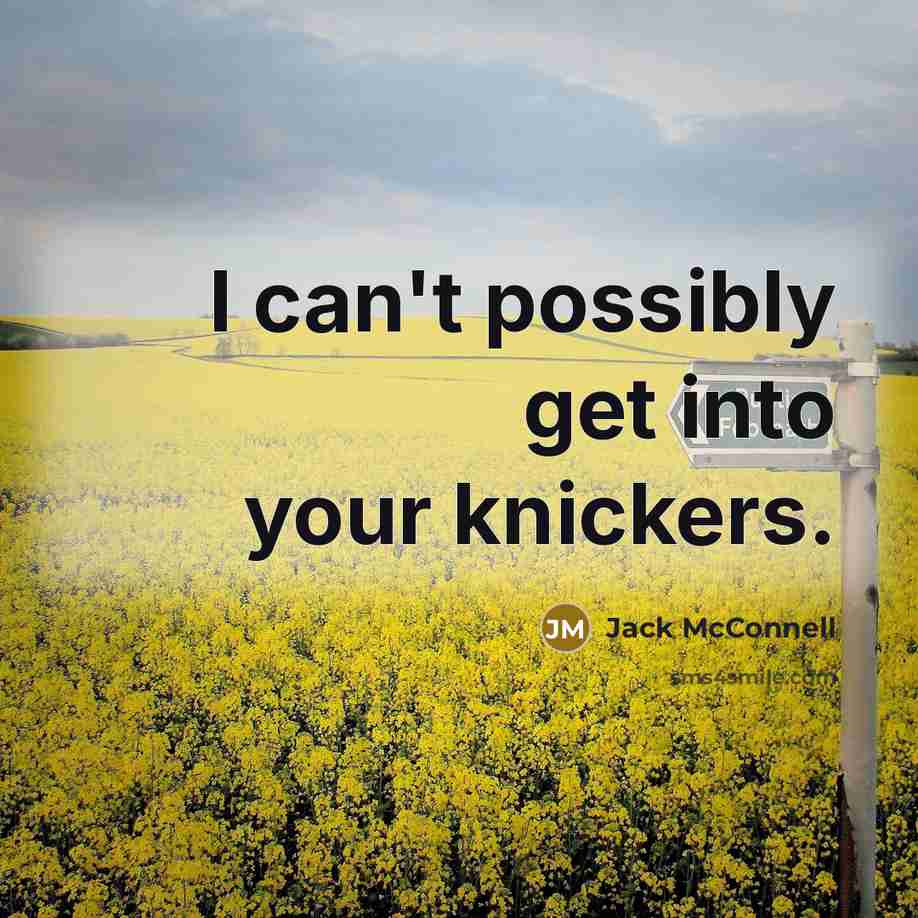 “I can't possibly get into your knickers.…” quote by Jack McConnell