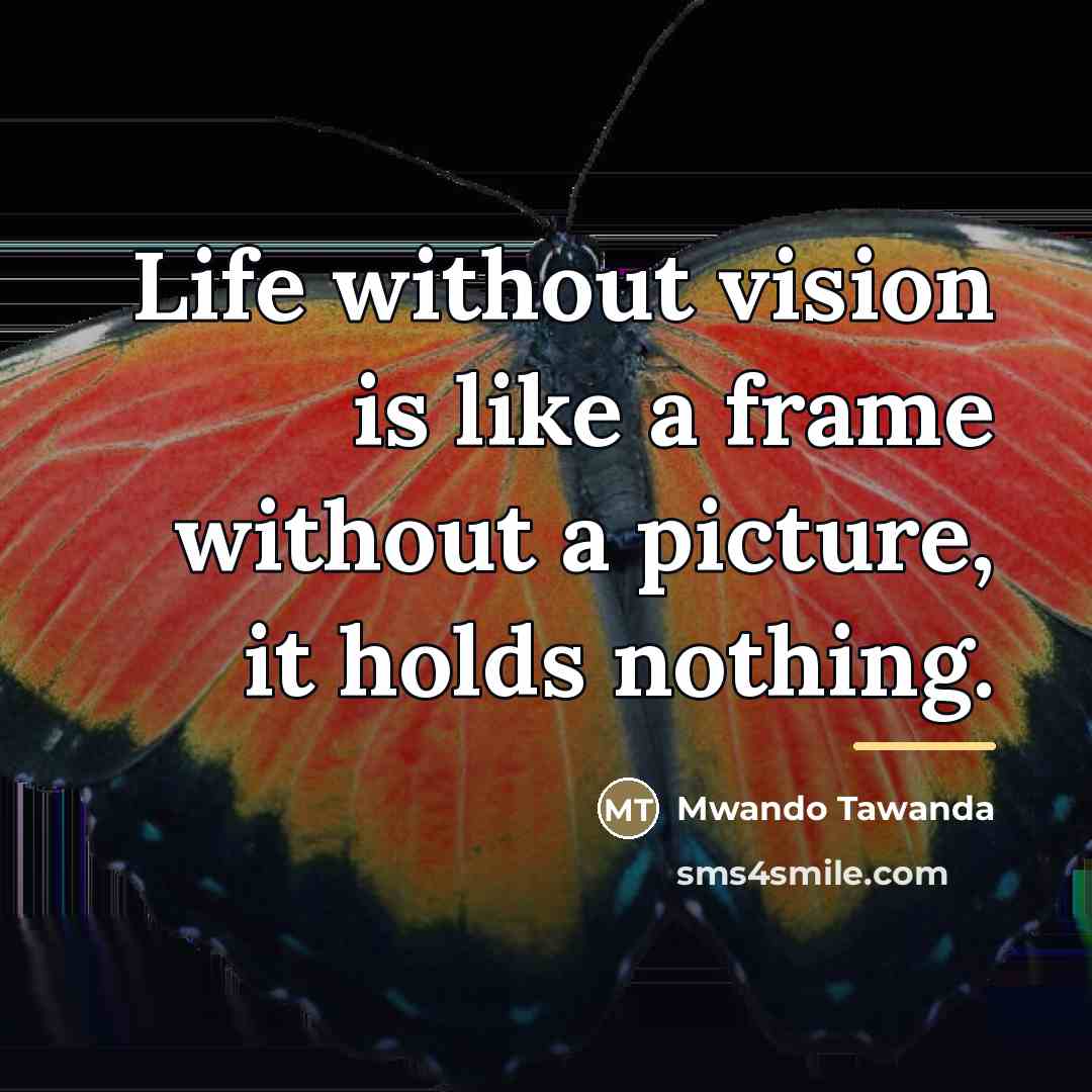 “Life without vision is like a frame without a picture,…” quote by Mwando Tawanda