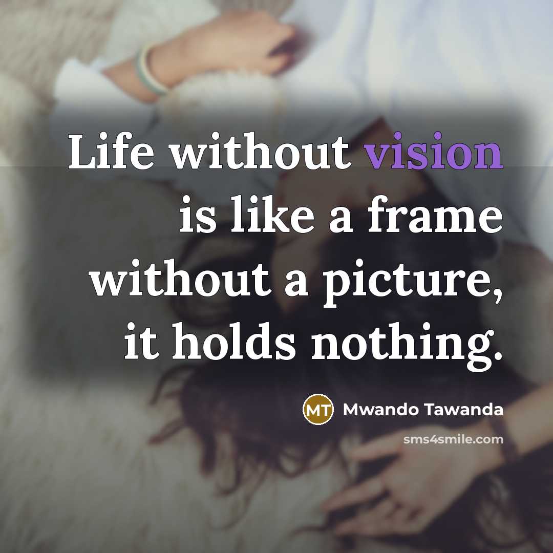 “Life without vision is like a frame without a picture, it holds nothing.” quote by Mwando Tawanda