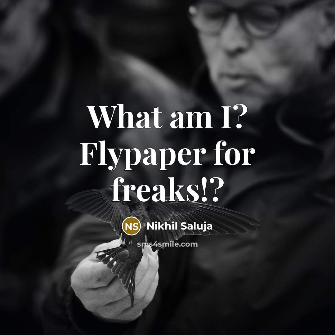 “What am I? Flypaper for freaks!?” quote by Nikhil Saluja