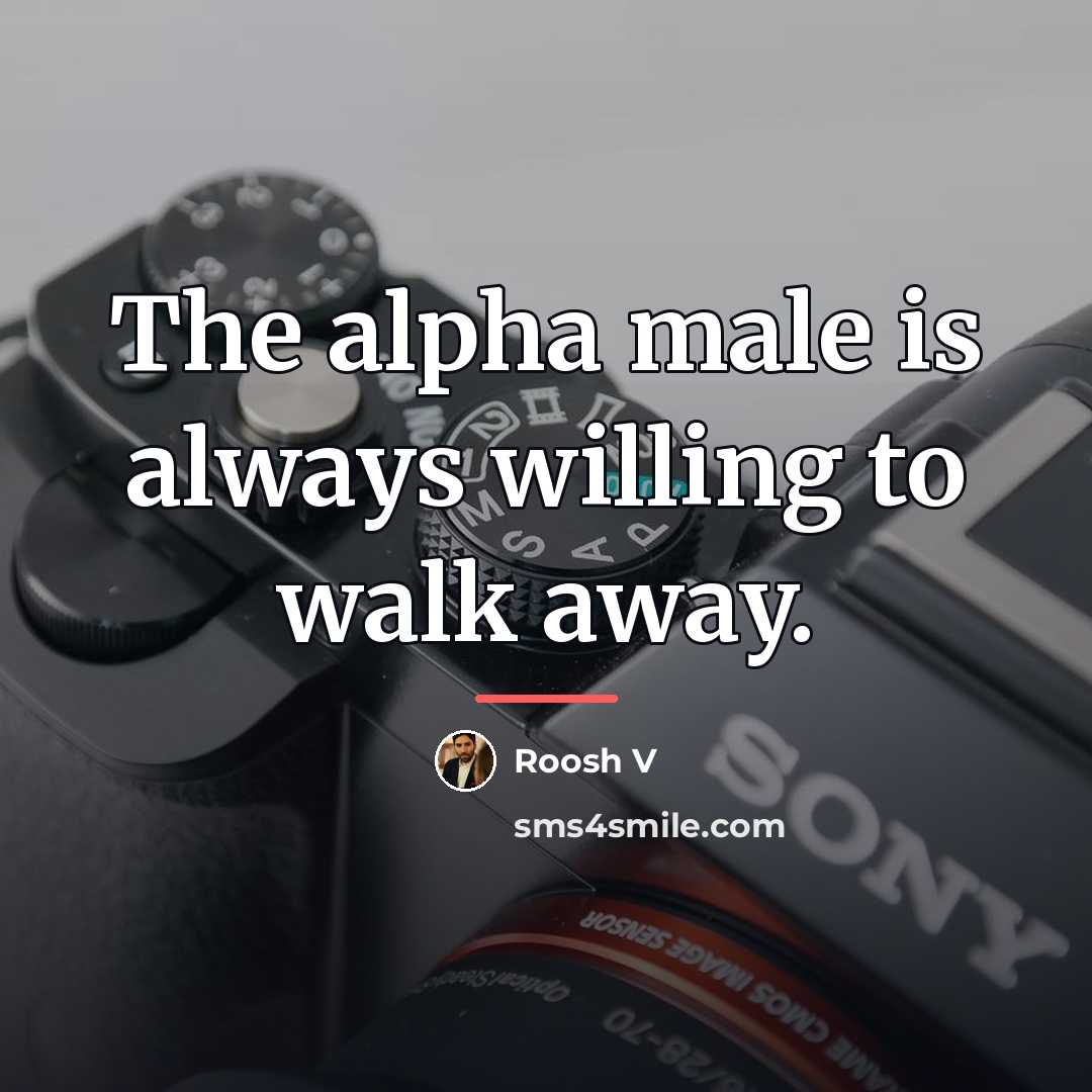 “The alpha male is always willing to walk away.…” quote by Roosh V