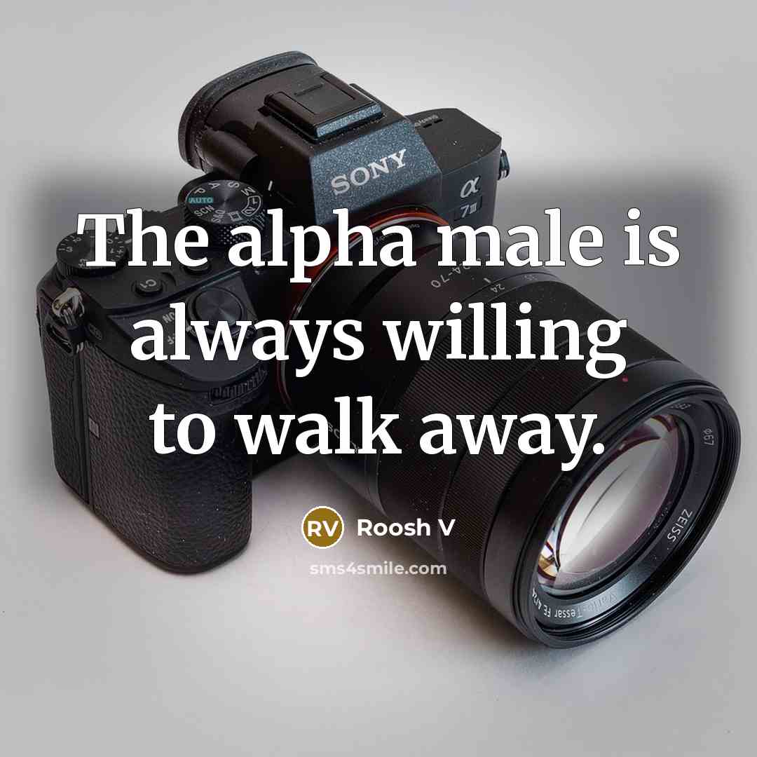 “The alpha male is always willing to walk away.” quote by Roosh V