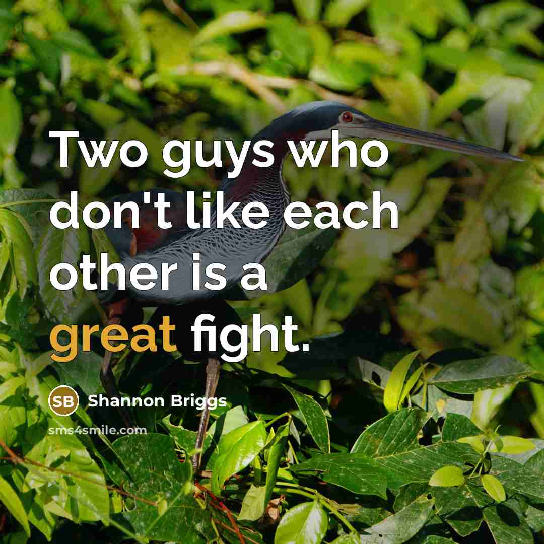 “Two guys who don't like each other is a great…” quote by Shannon Briggs