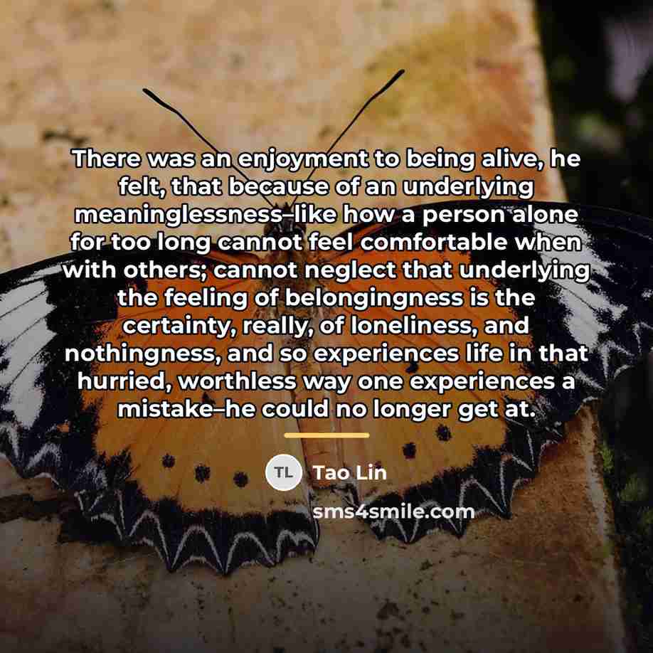 “There was an enjoyment to being alive, he felt, that…” quote by Tao Lin