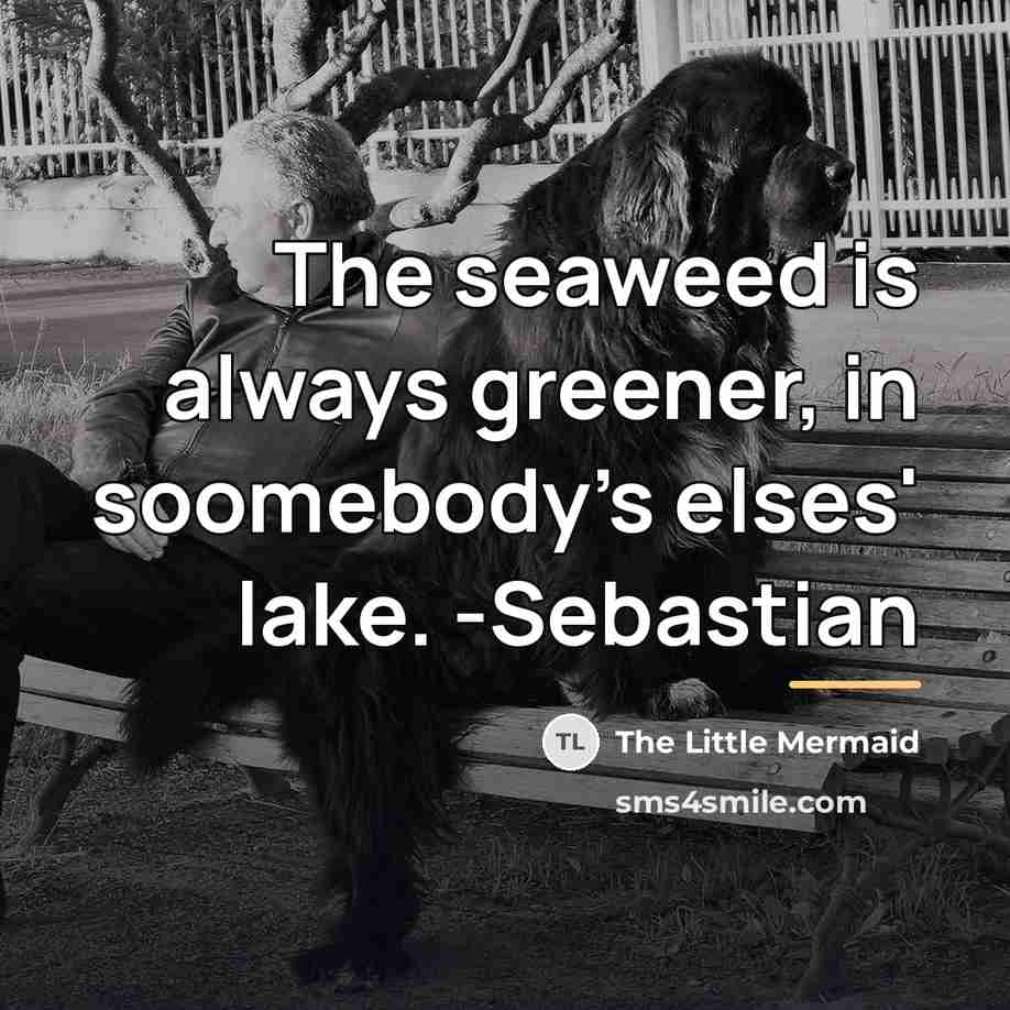 “The seaweed is always greener, in soomebody's elses' lake. -Sebastian…” quote by The Little Mermaid