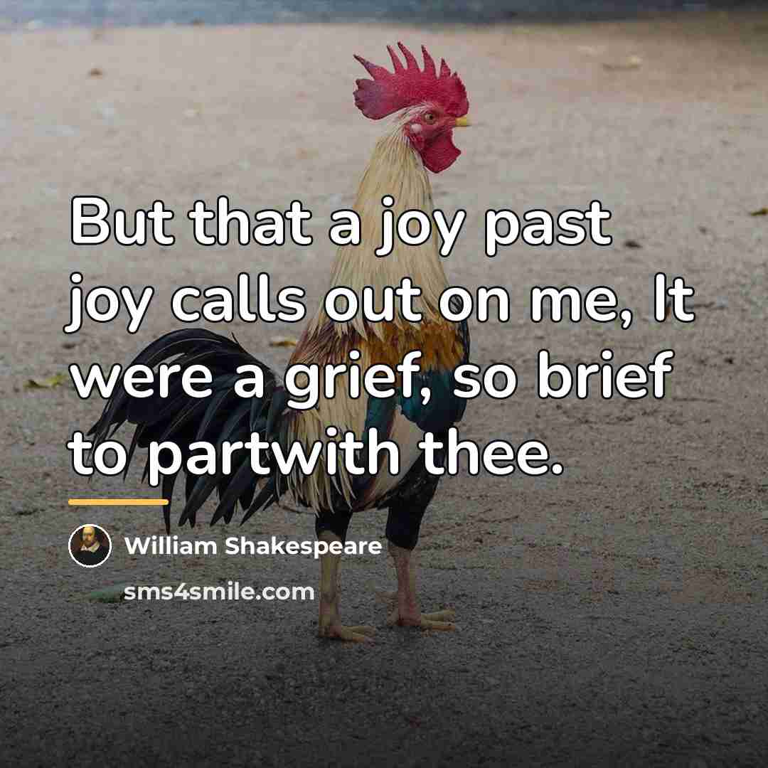 “But that a joy past joy calls out on me,…” quote by William Shakespeare