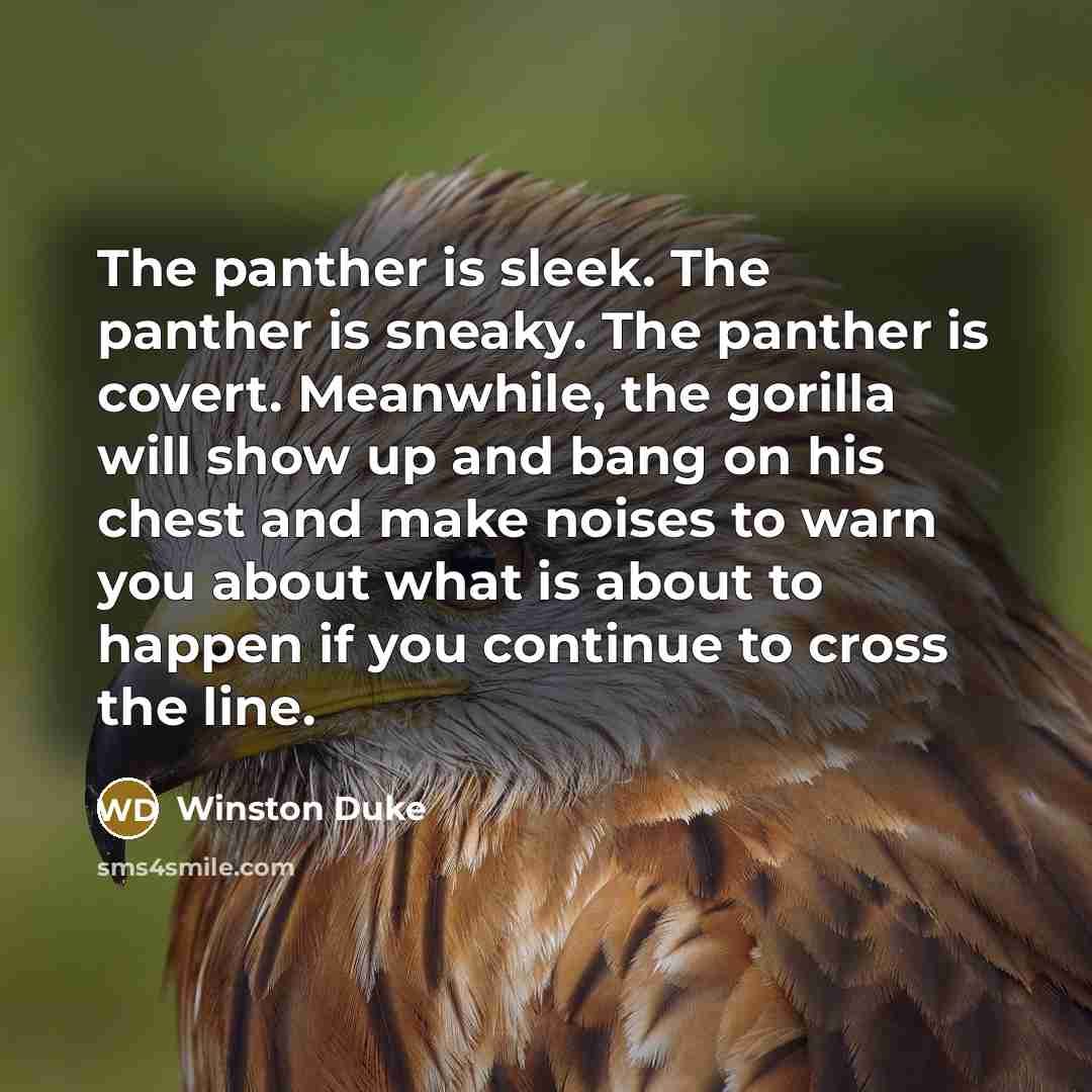 “The panther is sleek. The panther is sneaky. The panther…” quote by Winston Duke