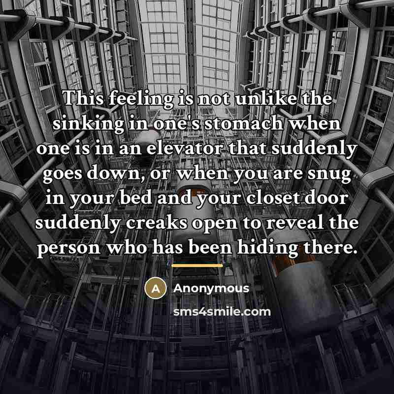 “This feeling is not unlike the sinking in one's stomach…” quote by Anonymous