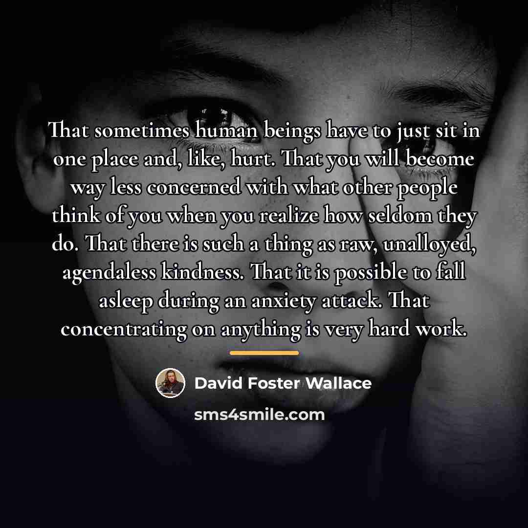 “That sometimes human beings have to just sit in one…” quote by David Foster Wallace