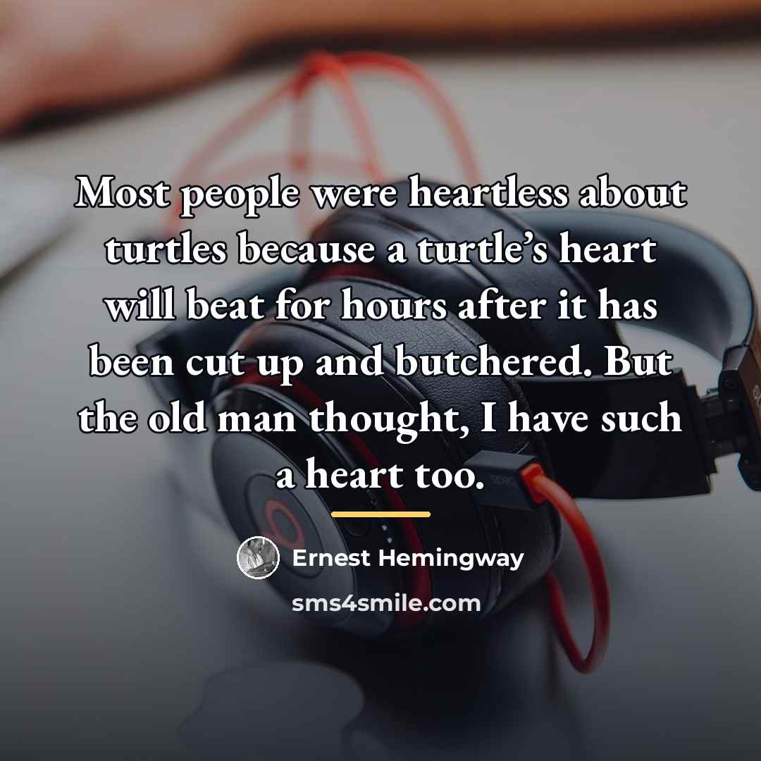 “Most people were heartless about turtles because a turtle’s heart…” quote by Ernest Hemingway