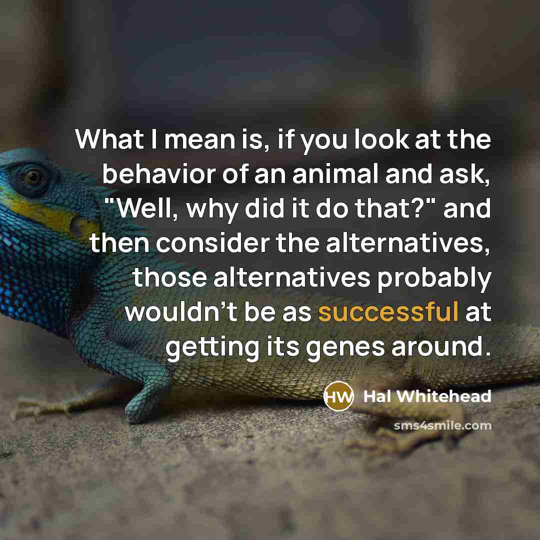 “What I mean is, if you look at the behavior of an animal and ask, "Well, why did it do that?" and then consider the alternatives, those alternatives probably wouldn't be as successful at getting its genes around.” quote by Hal Whitehead