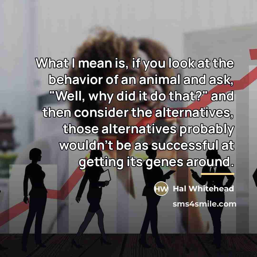 “What I mean is, if you look at the behavior…” quote by Hal Whitehead
