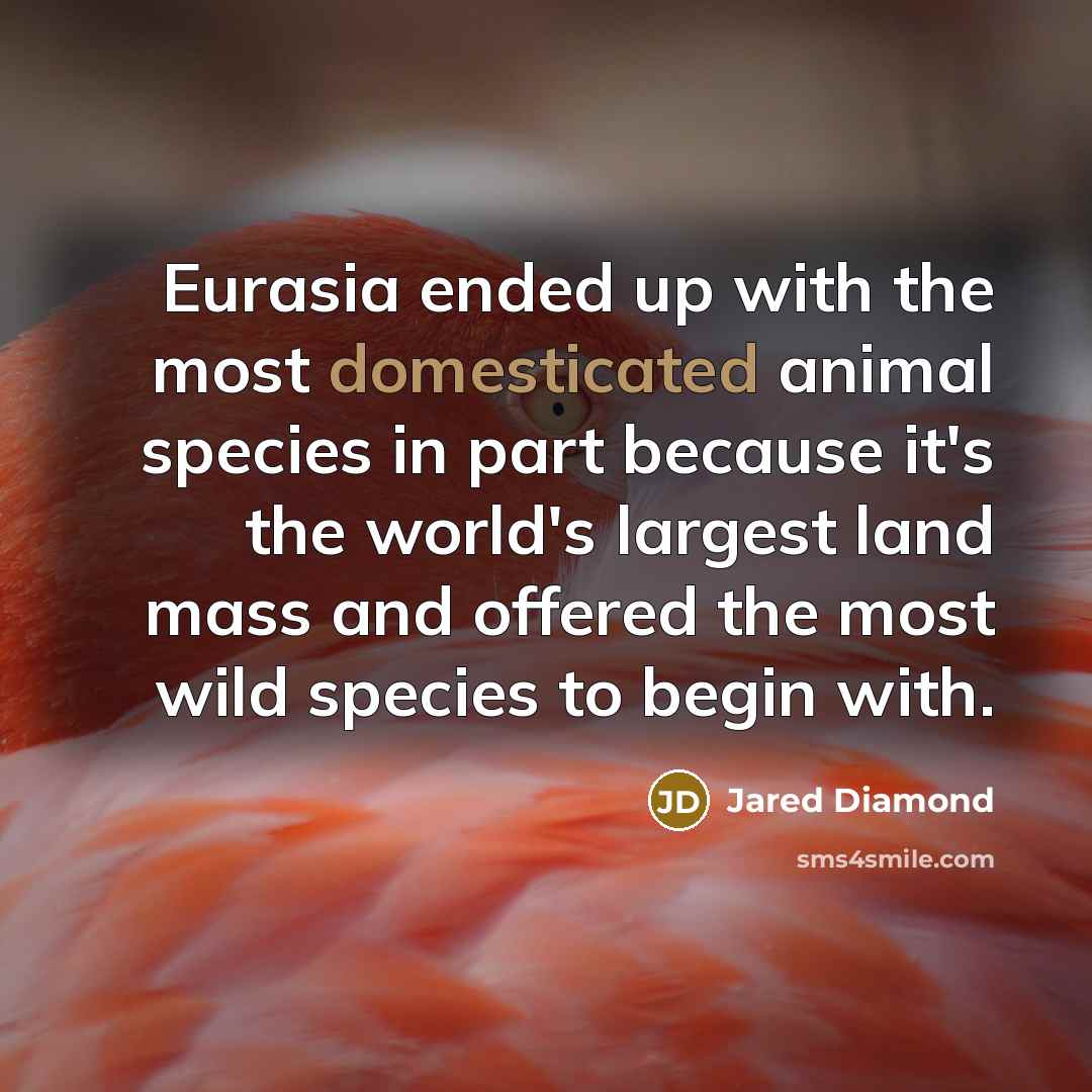 “Eurasia ended up with the most domesticated animal species in…” quote by Jared Diamond