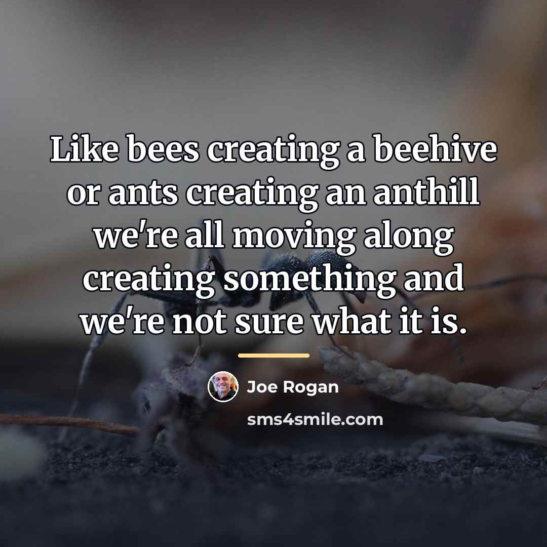 “Like bees creating a beehive or ants creating an anthill…” quote by Joe Rogan