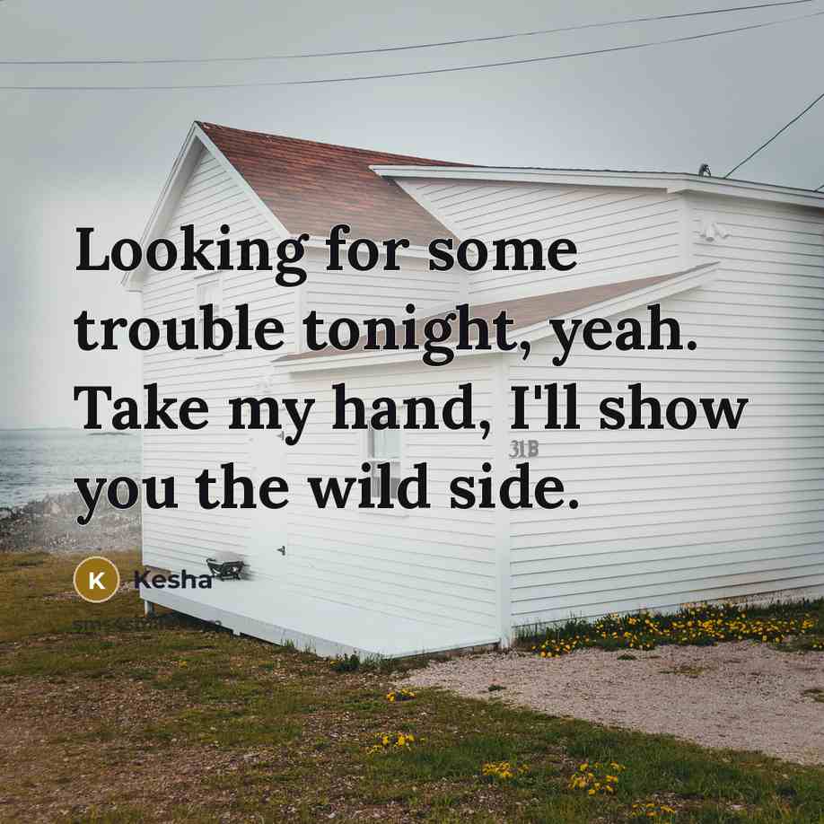 “Looking for some trouble tonight, yeah. Take my hand, I'll show you the wild side.” quote by Kesha