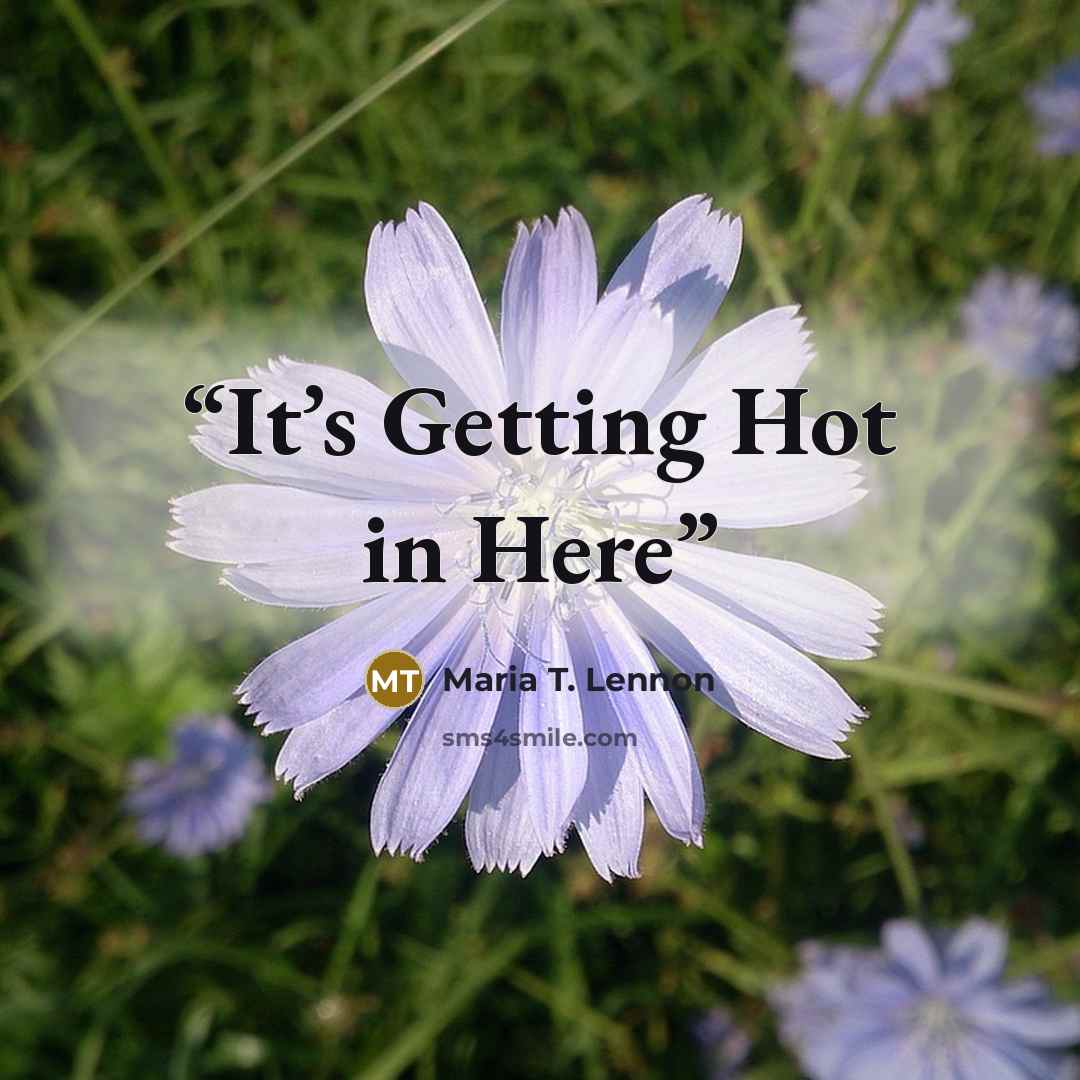 “It’s Getting Hot in Here” quote by Maria T. Lennon