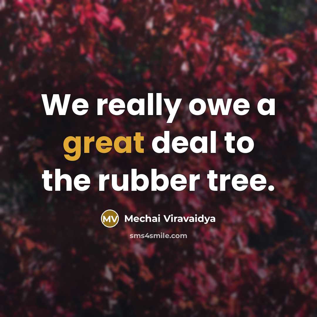 “We really owe a great deal to the rubber tree.…” quote by Mechai Viravaidya