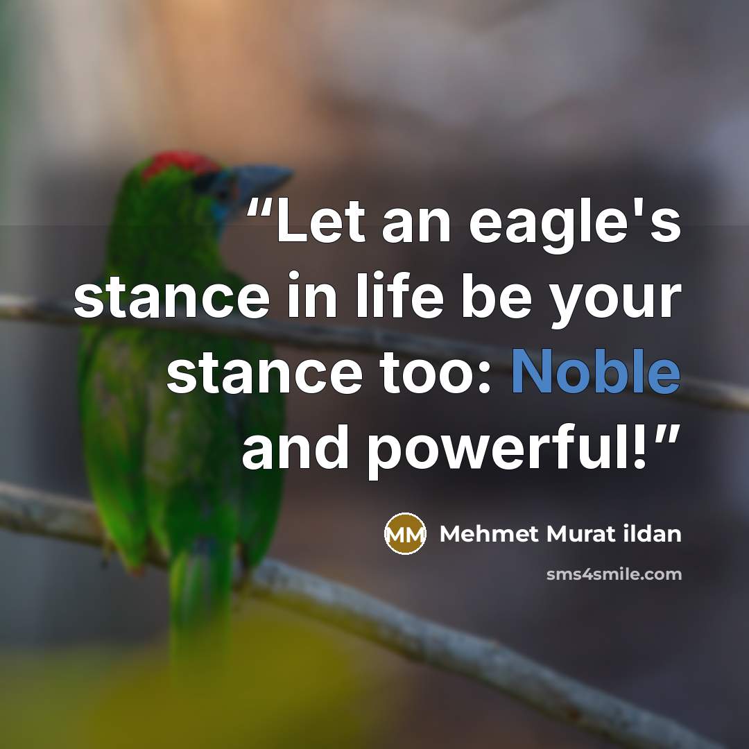 “Let an eagle's stance in life be your stance too: Noble and powerful!” quote by Mehmet Murat ildan