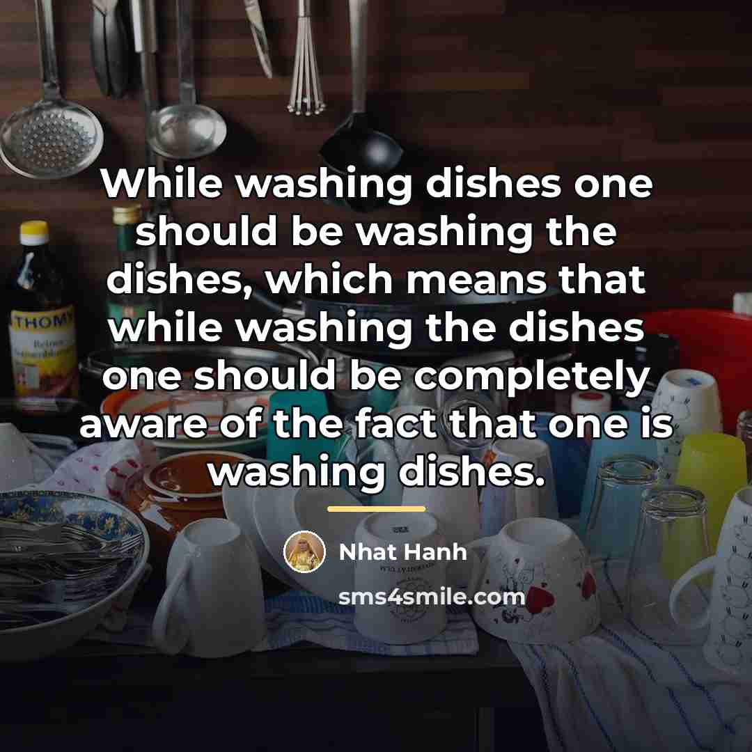 “While washing dishes one should be washing the dishes, which…” quote by Nhat Hanh
