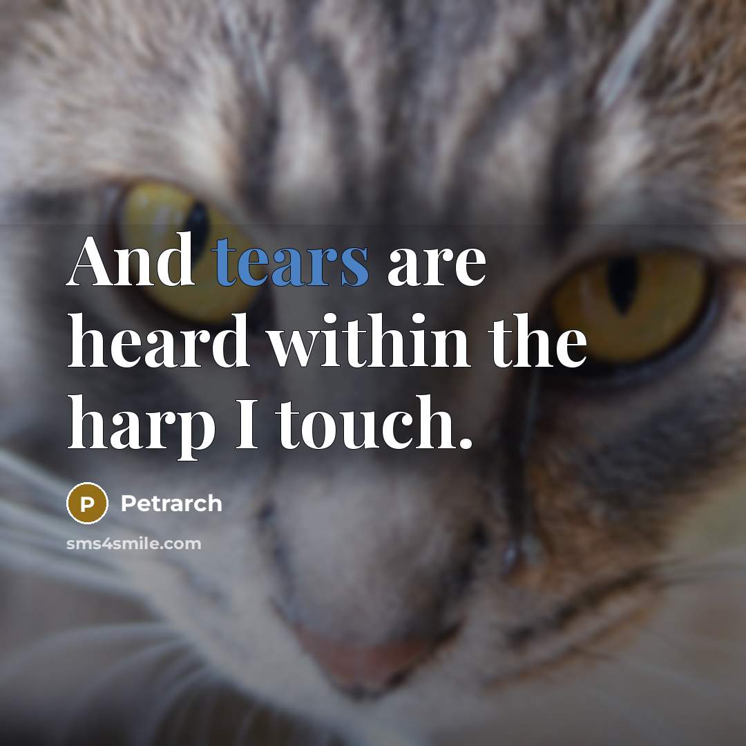 “And tears are heard within the harp I touch.” quote by Petrarch