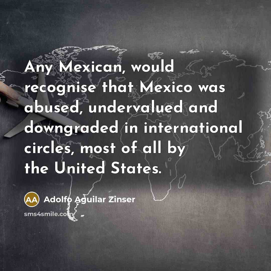 “Any Mexican, would recognise that Mexico was abused, undervalued and…” quote by Adolfo Aguilar Zinser