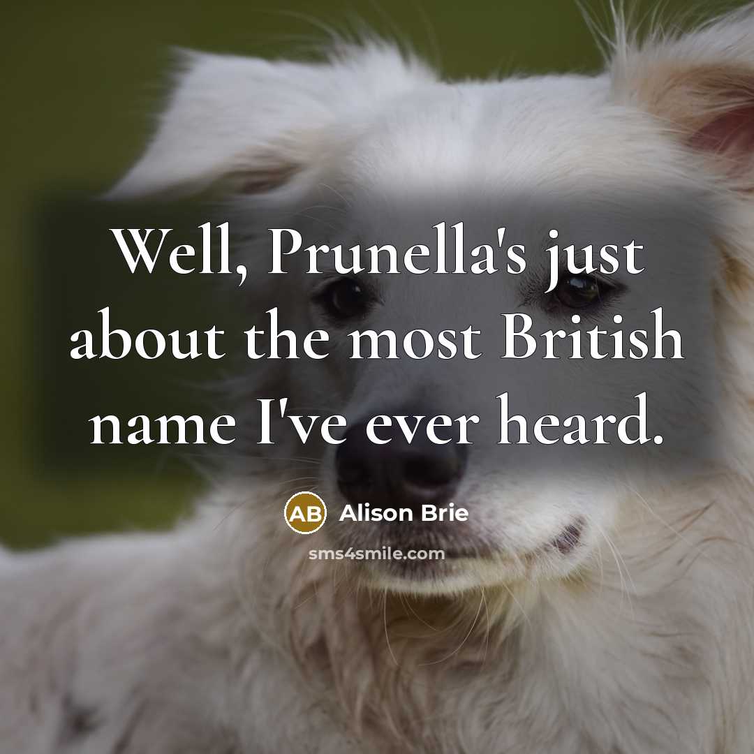 “Well, Prunella's just about the most British name I've ever…” quote by Alison Brie