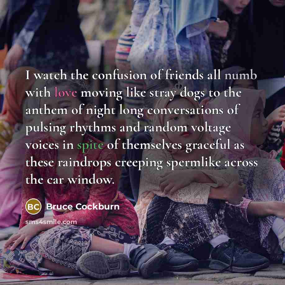 “I watch the confusion of friends all numb with love…” quote by Bruce Cockburn