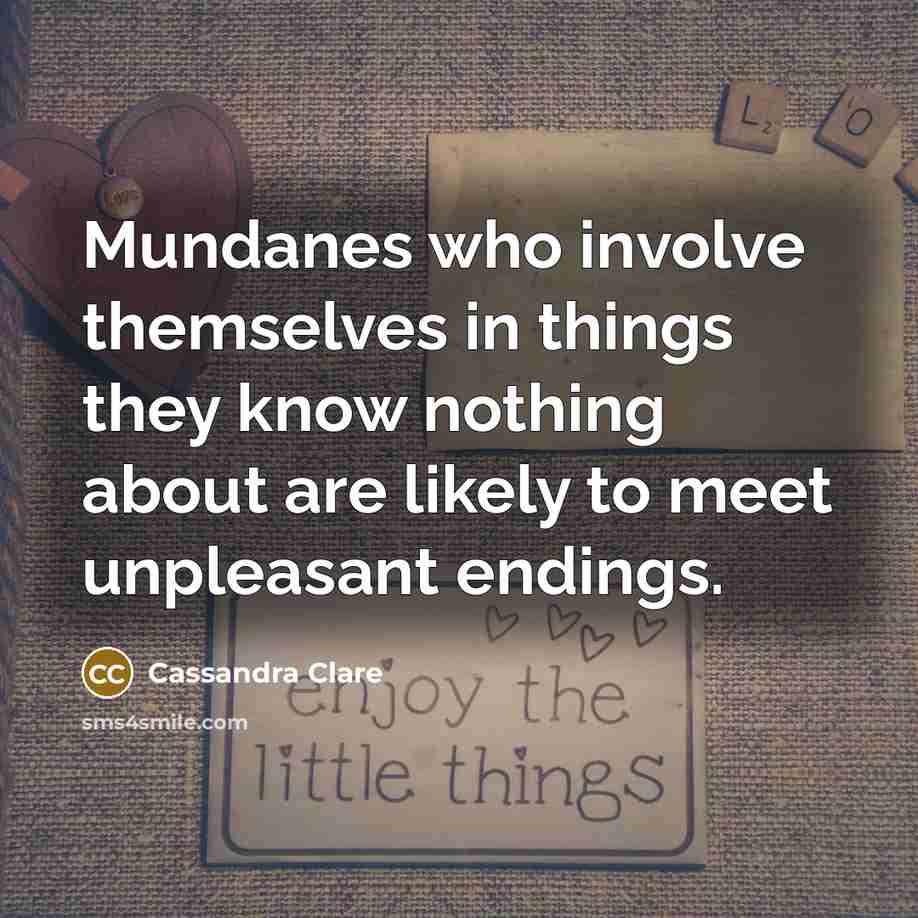 “Mundanes who involve themselves in things they know nothing about…” quote by Cassandra Clare