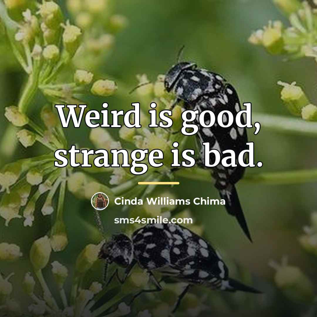 “Weird is good, strange is bad.…” quote by Cinda Williams Chima