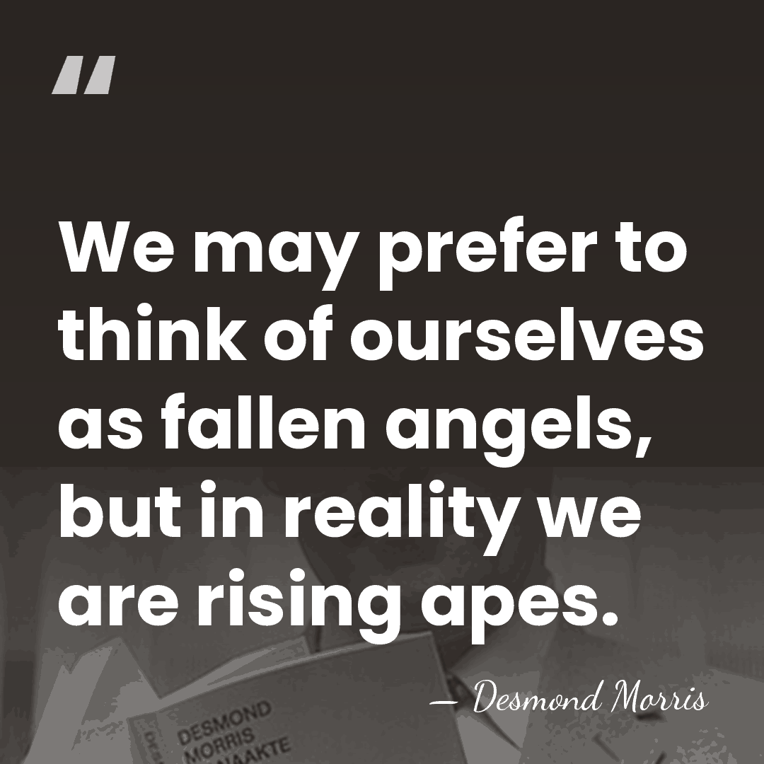 We may prefer to think of ourselves as fallen angels, but in&hellip; - Desmond Morris