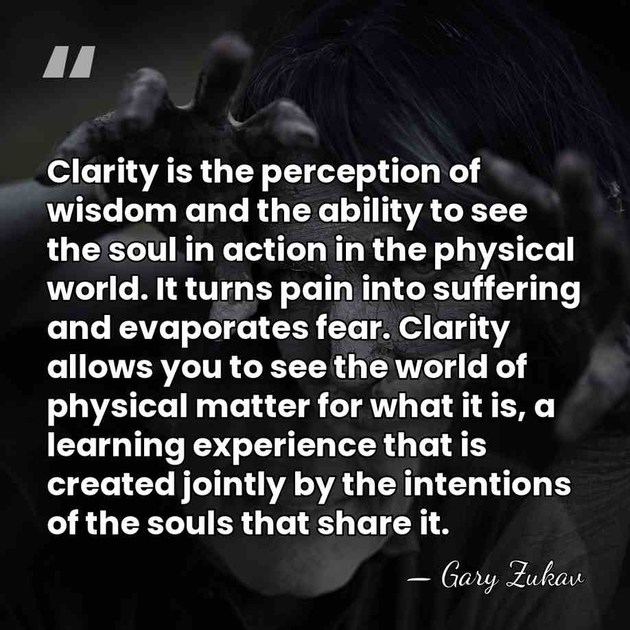 Clarity is the perception of wisdom and the ability to see the&hellip; - Gary Zukav