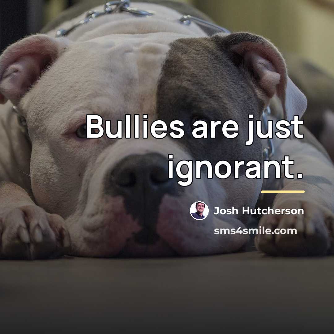 “Bullies are just ignorant.…” quote by Josh Hutcherson