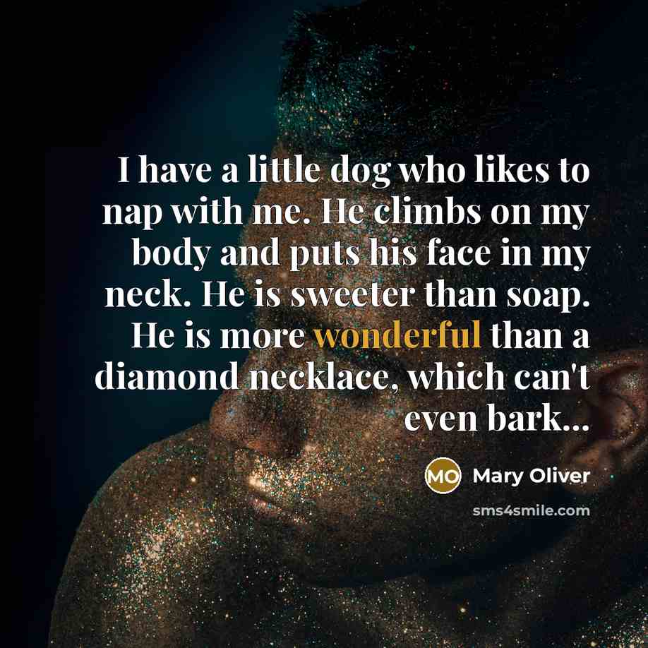 “I have a little dog who likes to nap with…” quote by Mary Oliver