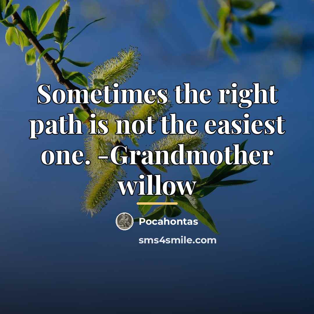 “Sometimes the right path is not the easiest one. -Grandmother…” quote by Pocahontas