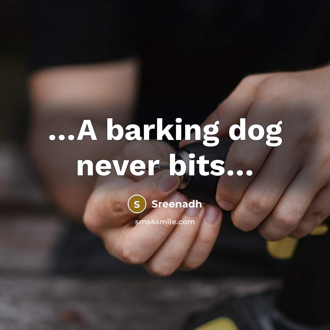 “…A barking dog never bits…” quote by Sreenadh