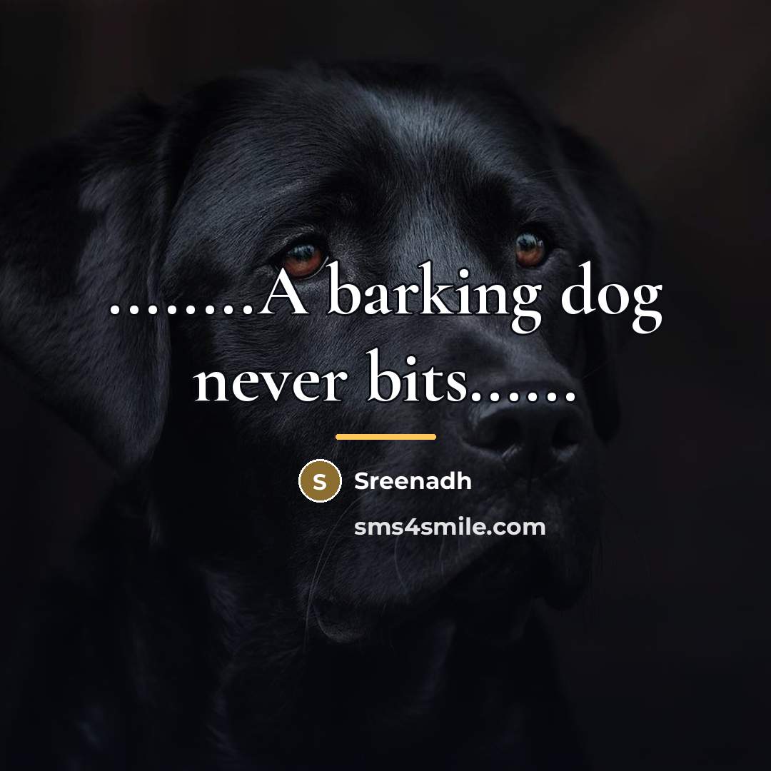 “........A barking dog never bits......…” quote by Sreenadh