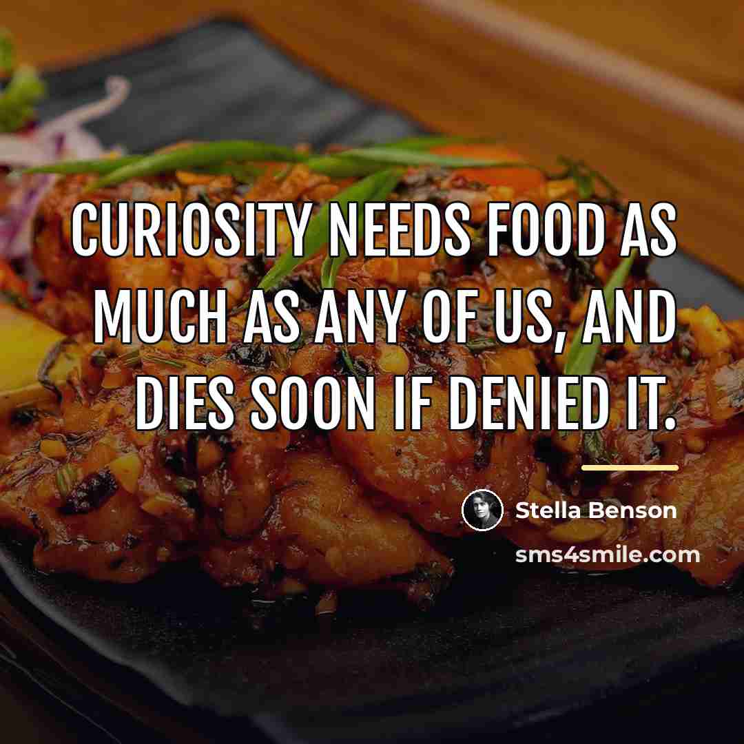 “Curiosity needs food as much as any of us, and…” quote by Stella Benson