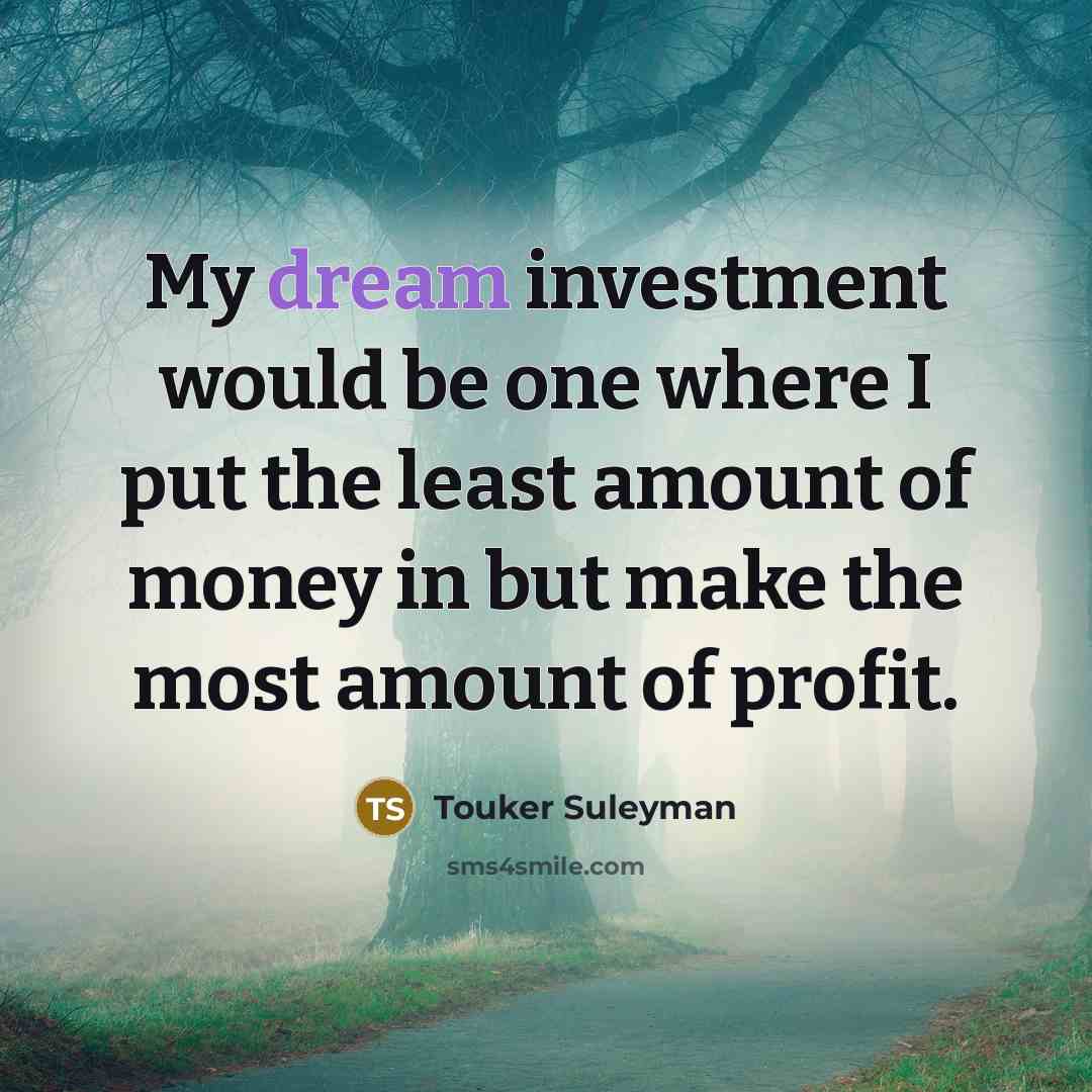 “My dream investment would be one where I put the…” quote by Touker Suleyman