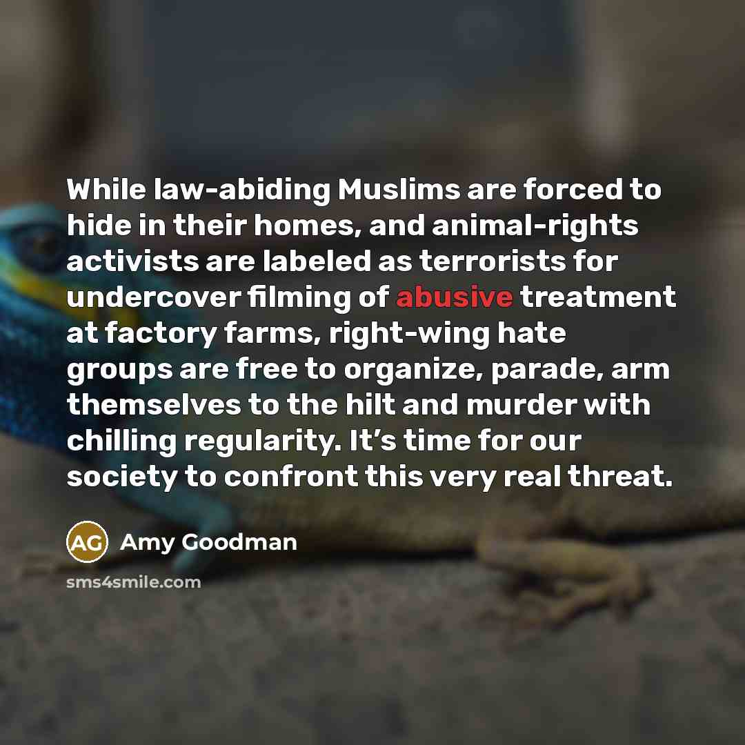 “While law-abiding Muslims are forced to hide in their homes,…” quote by Amy Goodman