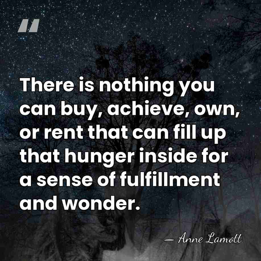 There is nothing you can buy, achieve, own, or rent that can&hellip; - Anne Lamott