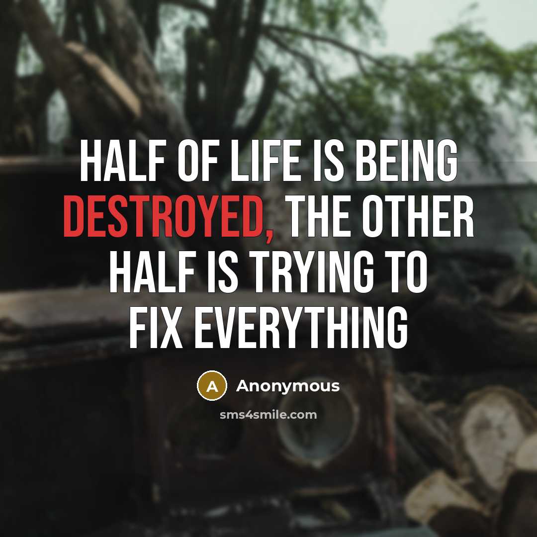 “Half of life is being destroyed, the other half is trying to fix everything” quote by Anonymous