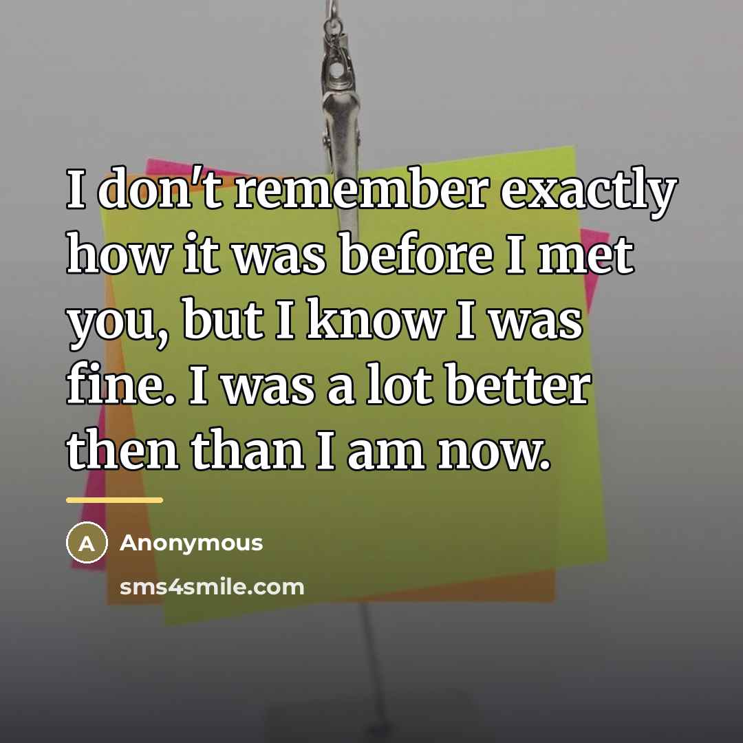 “I don't remember exactly how it was before I met…” quote by Anonymous