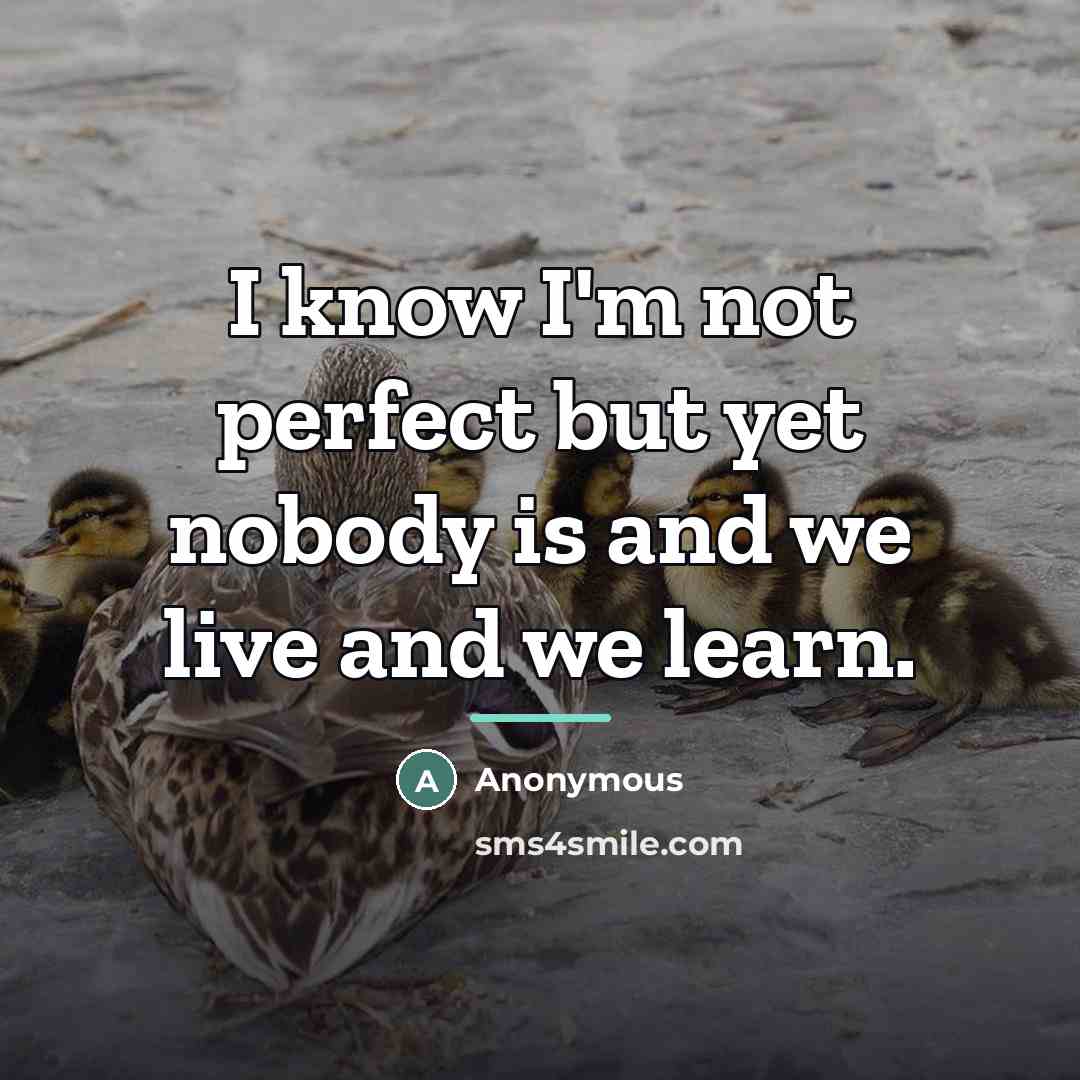 “I know I'm not perfect but yet nobody is and…” quote by Anonymous
