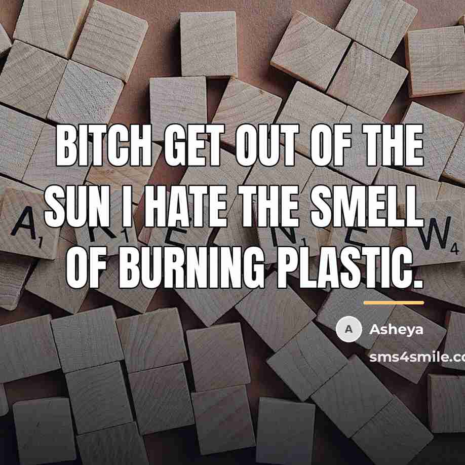 “Bitch get out of the sun I hate the smell…” quote by Asheya