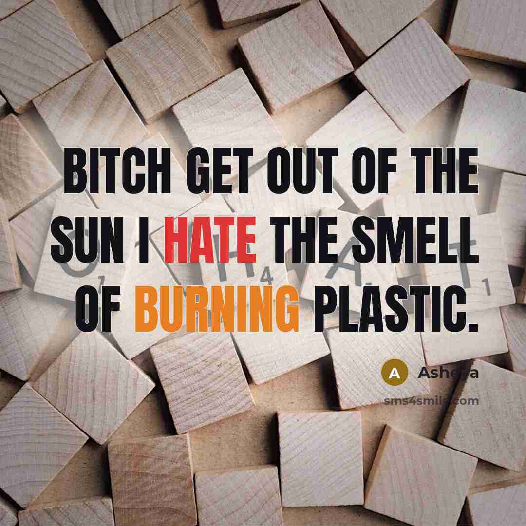 “Bitch get out of the sun I hate the smell of burning plastic.” quote by Asheya